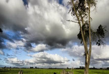 优德体育:日本将举办夏季听障奥运会 拟引入AI技术助力观赛2025-01-10.