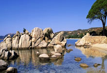 优德体育:澳超阿德莱德联VS纽卡斯尔喷气机预测分析:阿德莱德联4人被国家队招走!实力受损!.